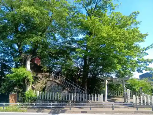 市杵島神社の{uncategorized: "未分類", other: "その他", undefined: "問題あり", building: "その他建物", grave: "お墓", sacred_gate: "鳥居", guardian: "狛犬", statue: "像", buddha: "仏像", history: "歴史", nature: "自然", garden: "庭園", animal: "動物", pagoda: "塔", temizu: "手水舎", mountain_gate: "山門・神門", sanctuary: "本殿・本堂", subordinate: "末社・摂社", art: "芸術", scenery: "景色", jizo: "地蔵", ema: "絵馬", goshuin: "御朱印", omikuji: "おみくじ", items: "授与品その他", amulet: "お守り", goshuincho: "御朱印帳", eats: "食事", festival: "お祭り", votive_dance: "神楽", shichigosan: "七五三参", wedding: "結婚式", experience: "体験その他", initially: "初詣", around: "周辺", anti_infection: "感染症対策"}