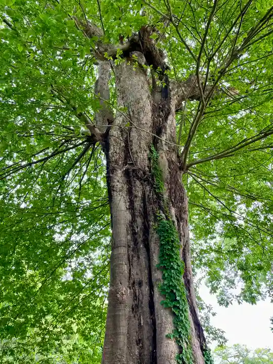 長生院(神奈川県)