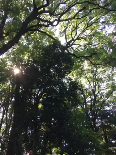 大宮八幡宮の自然