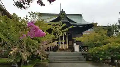 桜神宮の本殿・本堂