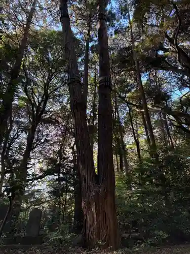 熊野神社(千葉県)