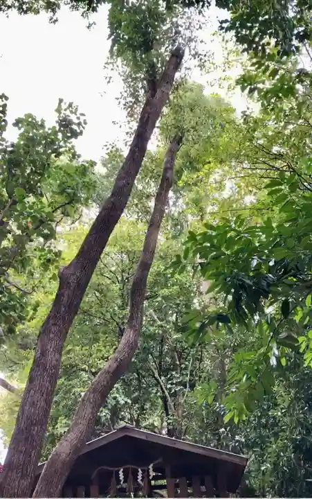 和泉國一之宮 大鳥大社(大阪府)