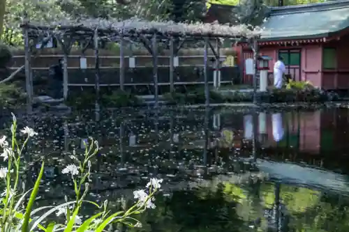 富士山本宮浅間大社(静岡県)