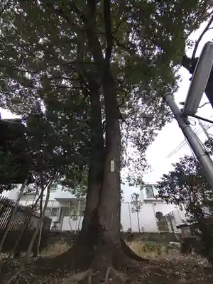 須賀神社（成宗）(東京都)