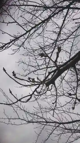 神明社（国府宮神明社）の自然
