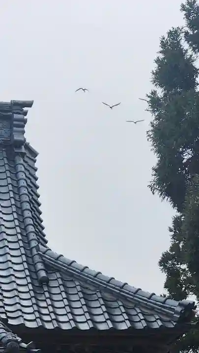 諏訪社(新潟県)