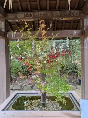 赤坂氷川神社(東京都)