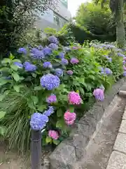 白山神社の庭園