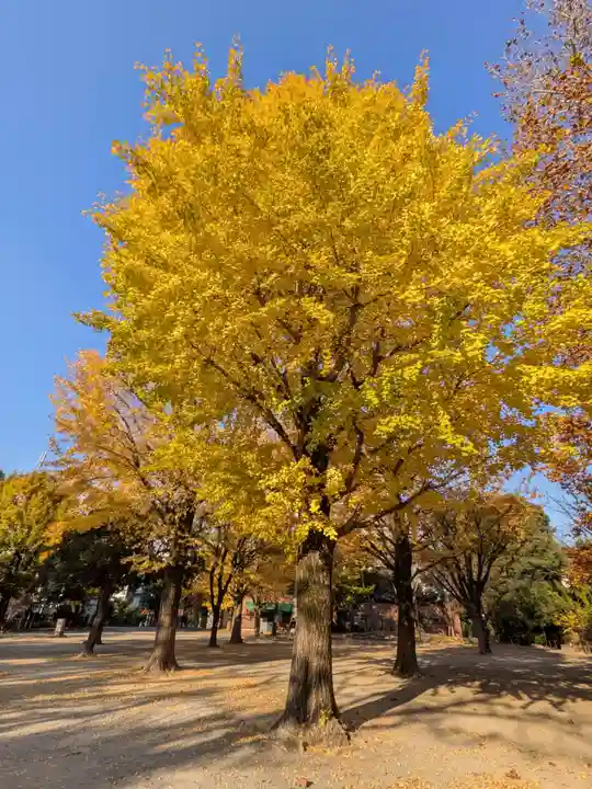 新井薬師(梅照院)(東京都)