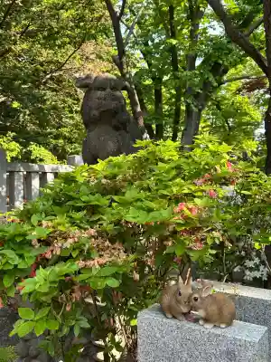 彌彦神社　(伊夜日子神社)の狛犬