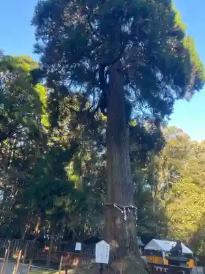 狭野神社の{uncategorized: "未分類", other: "その他", undefined: "問題あり", building: "その他建物", grave: "お墓", sacred_gate: "鳥居", guardian: "狛犬", statue: "像", buddha: "仏像", history: "歴史", nature: "自然", garden: "庭園", animal: "動物", pagoda: "塔", temizu: "手水舎", mountain_gate: "山門・神門", sanctuary: "本殿・本堂", subordinate: "末社・摂社", art: "芸術", scenery: "景色", jizo: "地蔵", ema: "絵馬", goshuin: "御朱印", omikuji: "おみくじ", items: "授与品その他", amulet: "お守り", goshuincho: "御朱印帳", eats: "食事", festival: "お祭り", votive_dance: "神楽", shichigosan: "七五三参", wedding: "結婚式", experience: "体験その他", initially: "初詣", around: "周辺", anti_infection: "感染症対策"}