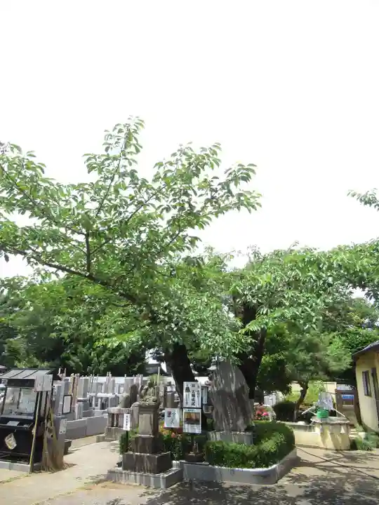 真光寺(千葉県)