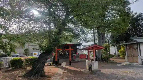 稲荷神社の{uncategorized: "未分類", other: "その他", undefined: "問題あり", building: "その他建物", grave: "お墓", sacred_gate: "鳥居", guardian: "狛犬", statue: "像", buddha: "仏像", history: "歴史", nature: "自然", garden: "庭園", animal: "動物", pagoda: "塔", temizu: "手水舎", mountain_gate: "山門・神門", sanctuary: "本殿・本堂", subordinate: "末社・摂社", art: "芸術", scenery: "景色", jizo: "地蔵", ema: "絵馬", goshuin: "御朱印", omikuji: "おみくじ", items: "授与品その他", amulet: "お守り", goshuincho: "御朱印帳", eats: "食事", festival: "お祭り", votive_dance: "神楽", shichigosan: "七五三参", wedding: "結婚式", experience: "体験その他", initially: "初詣", around: "周辺", anti_infection: "感染症対策"}