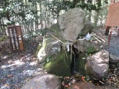 眞名井神社(籠神社奥宮)の手水舎