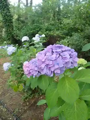 瀬戸神社(神奈川県)