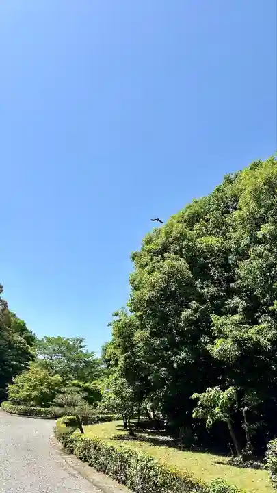 橿原神宮(奈良県)