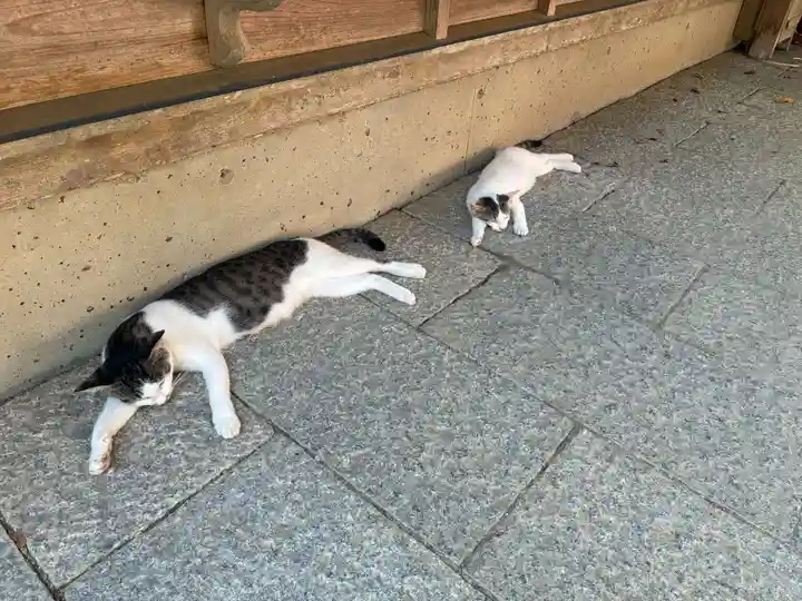 お松大権現(徳島県)