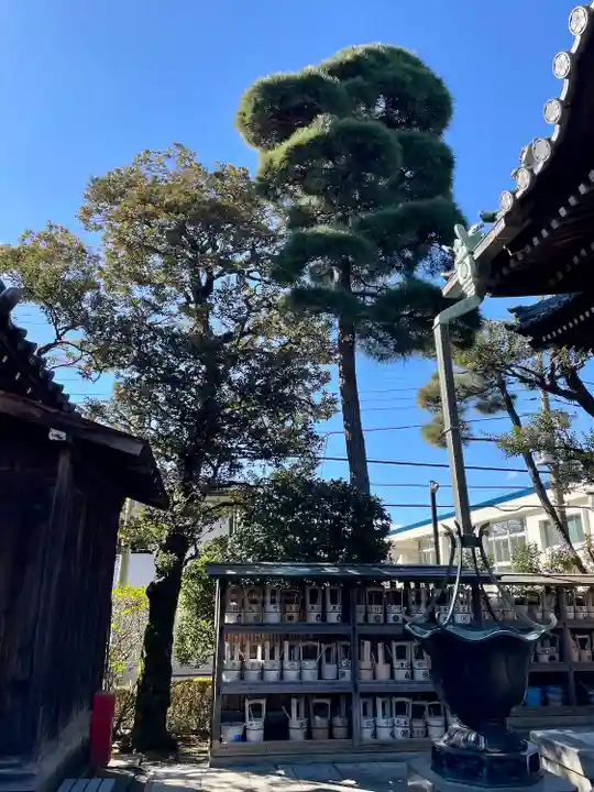 金藏院(東京都)