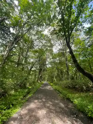 戸隠神社奥社の周辺