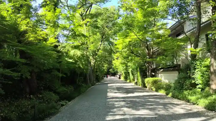 賀茂御祖神社(下鴨神社)(京都府)