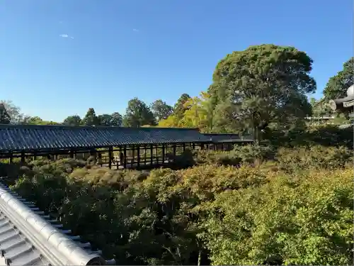東福禅寺（東福寺）(京都府)