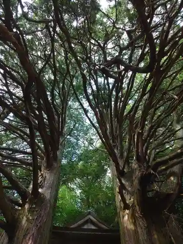 須佐之男神社(愛知県)