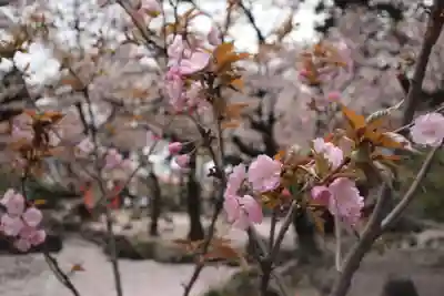 恵林寺(山梨県)