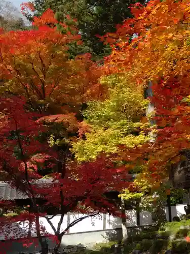 永源寺の庭園