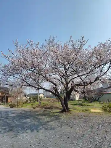 寶光寺(埼玉県)