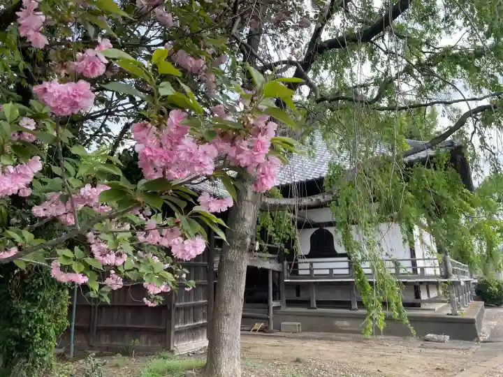 大正寺の{uncategorized: "未分類", other: "その他", undefined: "問題あり", building: "その他建物", grave: "お墓", sacred_gate: "鳥居", guardian: "狛犬", statue: "像", buddha: "仏像", history: "歴史", nature: "自然", garden: "庭園", animal: "動物", pagoda: "塔", temizu: "手水舎", mountain_gate: "山門・神門", sanctuary: "本殿・本堂", subordinate: "末社・摂社", art: "芸術", scenery: "景色", jizo: "地蔵", ema: "絵馬", goshuin: "御朱印", omikuji: "おみくじ", items: "授与品その他", amulet: "お守り", goshuincho: "御朱印帳", eats: "食事", festival: "お祭り", votive_dance: "神楽", shichigosan: "七五三参", wedding: "結婚式", experience: "体験その他", initially: "初詣", around: "周辺", anti_infection: "感染症対策"}