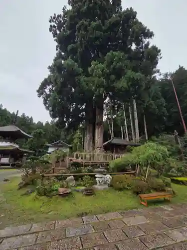 金剛三昧院(和歌山県)