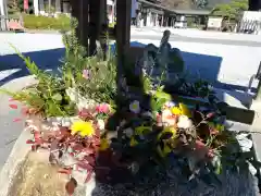 白鷺神社の手水