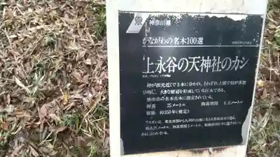 永谷天満宮(神奈川県)