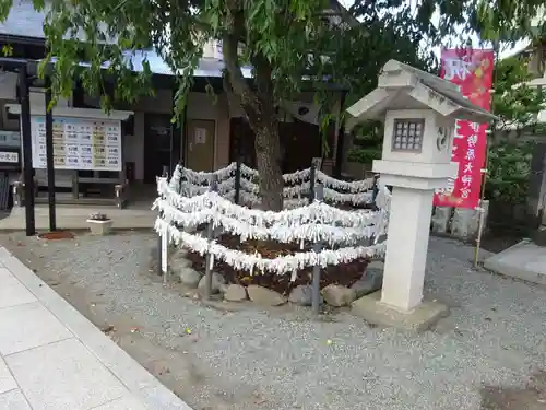 伊勢原大神宮のおみくじ