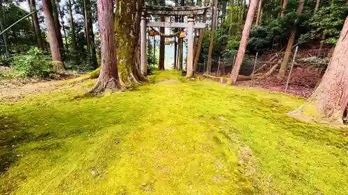八幡神社(福井県)