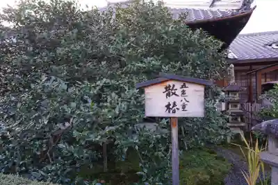 地蔵院（椿寺）のその他建物