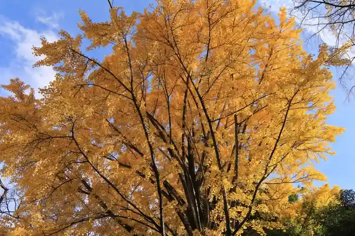 神炊館神社 ⁂奥州須賀川総鎮守⁂の自然