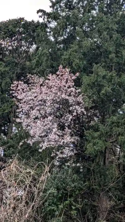 東蓮寺(福岡県)