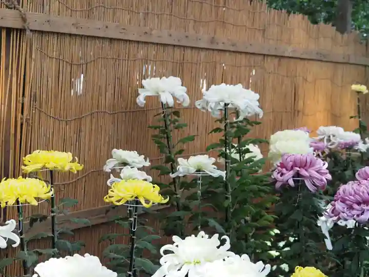 彌彦神社の自然