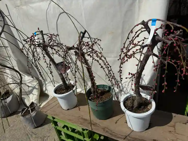 結城神社(三重県)