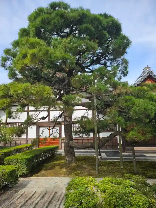 慈照寺(慈照禅寺・銀閣寺)(京都府)