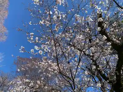 岩槻久伊豆神社(埼玉県)