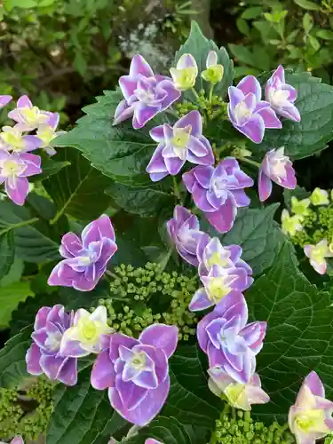 花園稲荷神社の自然