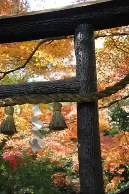 野宮神社(京都府)