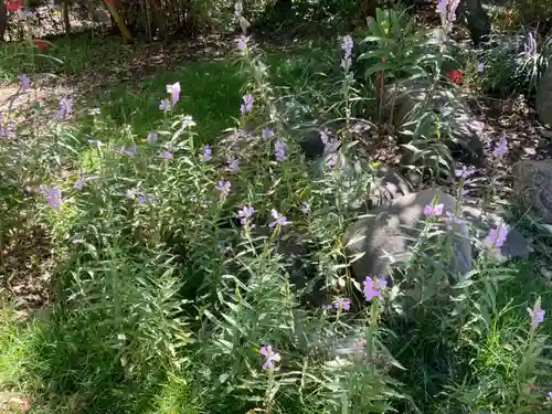 常祗稲荷神社(群馬県)