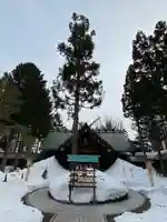 琴似神社の本殿・本堂