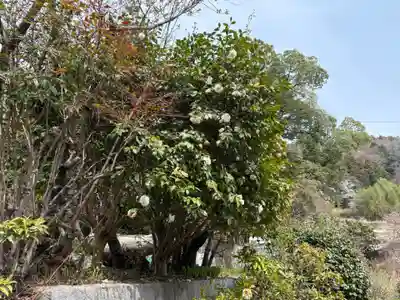 忍頂寺(大阪府)