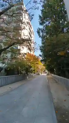 松戸神社(千葉県)
