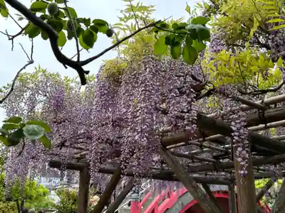 亀戸天神社(東京都)