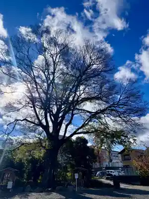石坐神社(滋賀県)
